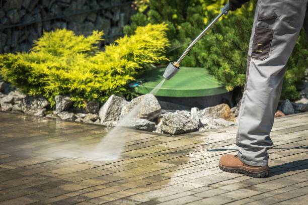 Best Sidewalk and Walkway Pressure Cleaning in Navasota, TX