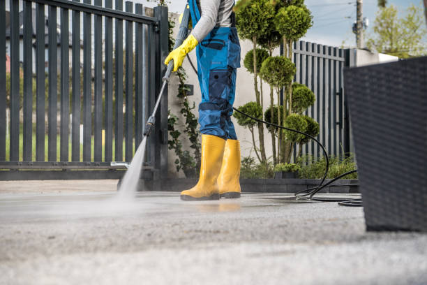 Best Window and Screen Pressure Cleaning in Navasota, TX